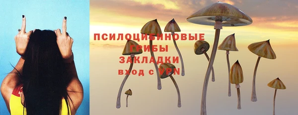 эйфоретик Струнино