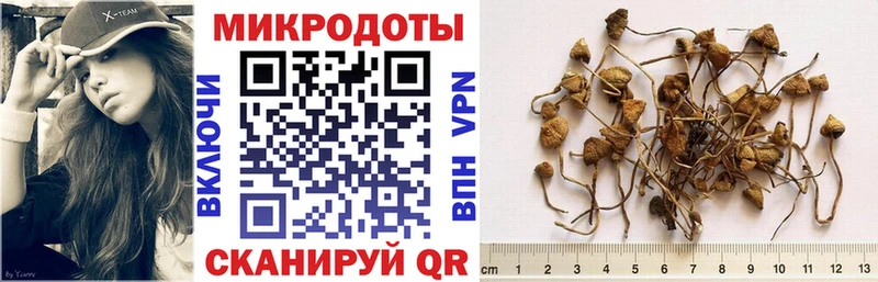 Купить  Казань  Псилоцибиновые грибы прущие грибы 